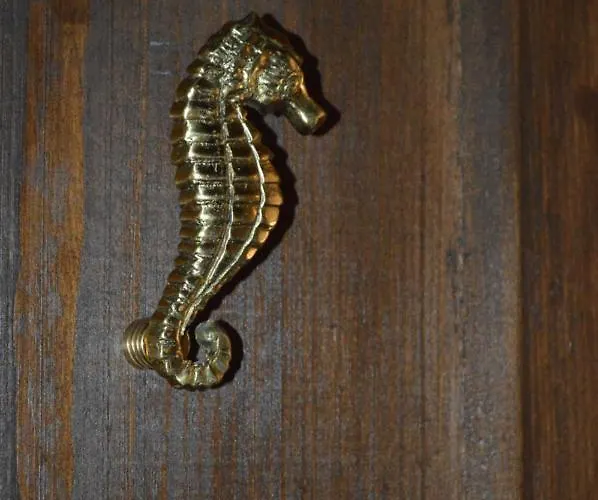 Casa Muse Kastellorizo Whole House بيت للعطل *