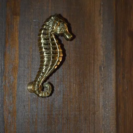 Casa Muse Kastellorizo Whole House Casa vacanze *